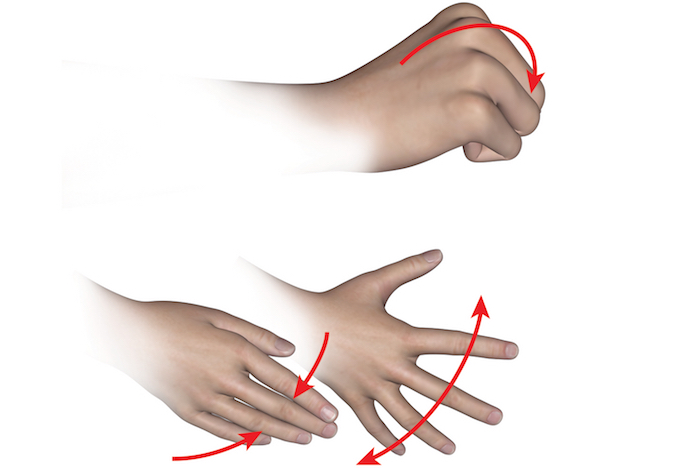 C8 motor activity examined by testing finger flexors and ulnar intrinsic muscle function.